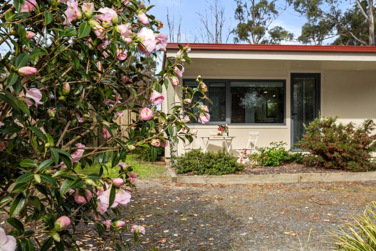 Karoola Cottage Self Contained Lilydale Buitenkant foto