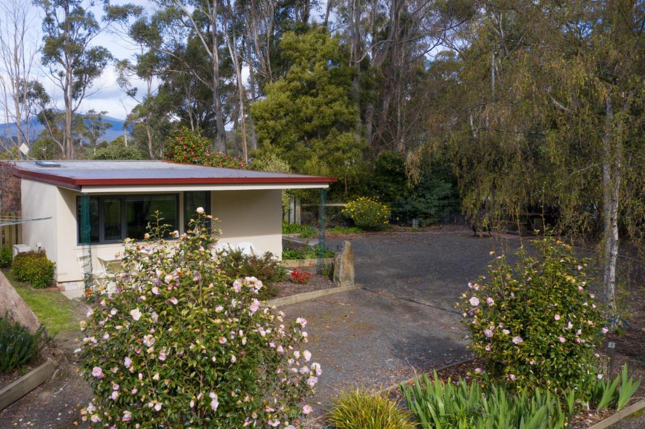 Karoola Cottage Self Contained Lilydale Buitenkant foto